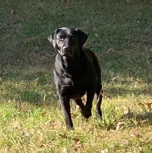 Meet your Posher, Tom